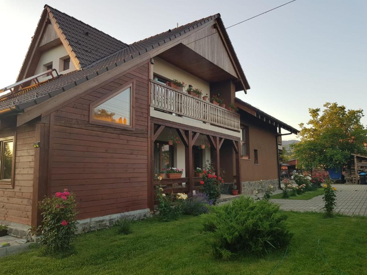 Pensiunea Rares Bistrita Bargaului Екстер'єр фото