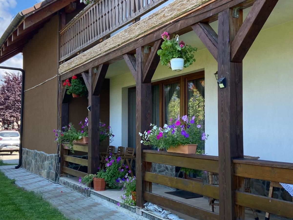 Pensiunea Rares Bistrita Bargaului Екстер'єр фото